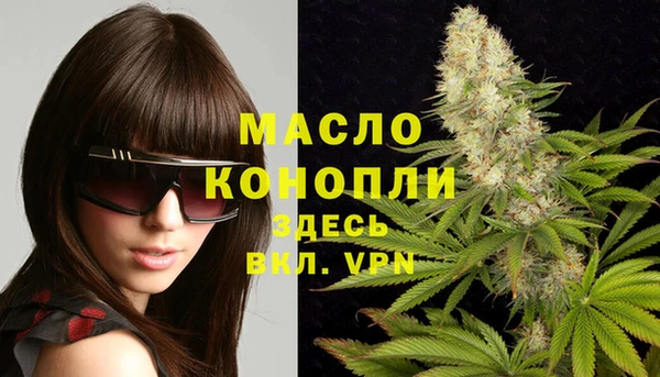 молекула духа Ростов