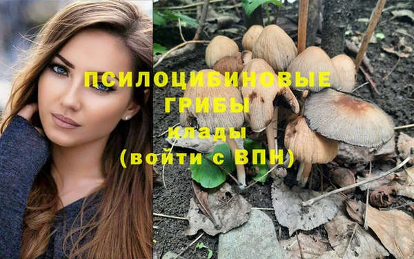 jwh Рославль