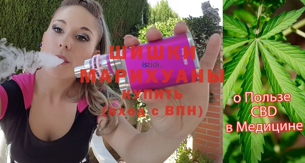 молекула духа Ростов