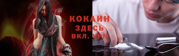 молекула духа Ростов