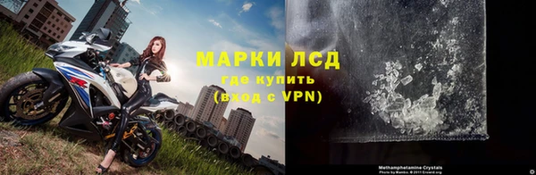 молекула духа Ростов