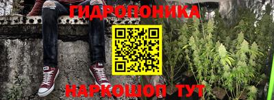 амф Балахна