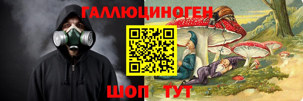 Галлюциногенные грибы Psilocybine cubensis Черкесск