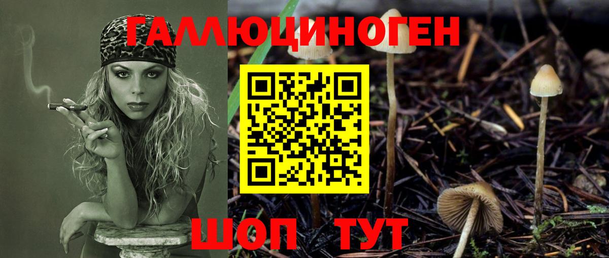 Псилоцибиновые грибы Magic Shrooms  Псилоцибиновые грибы GOLDEN TEACHER  Черкесск 