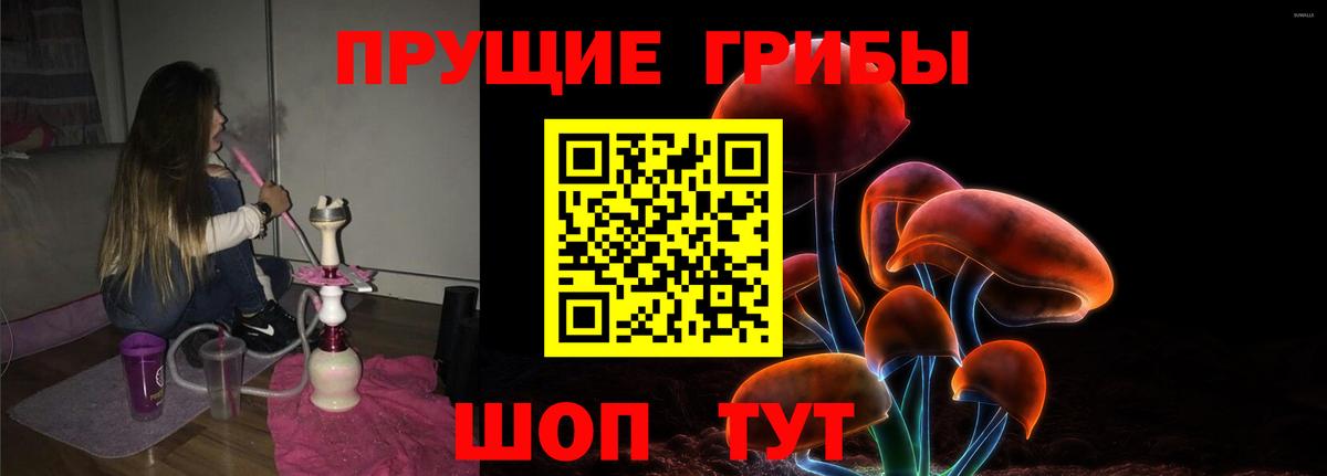 Черкесск  Галлюциногенные грибы мухоморы  Галлюциногенные грибы GOLDEN TEACHER  Вход с VPN 