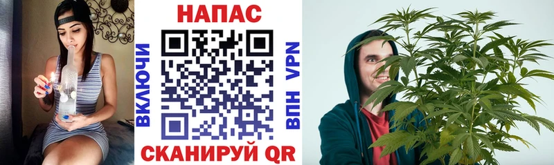 Каннабис семена Черкесск