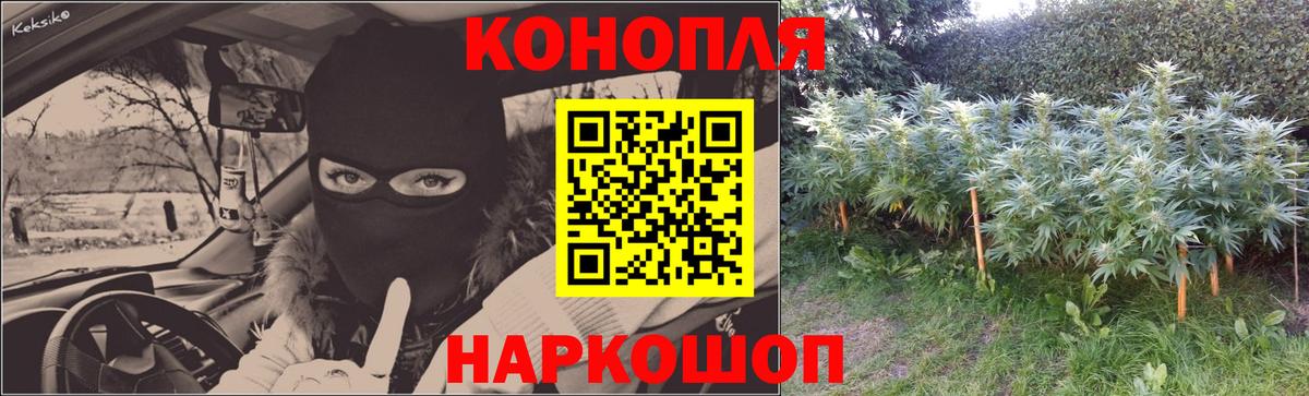 Черкесск  МАРИХУАНА SATIVA & INDICA  Вход с VPN  Марихуана LSD WEED  Бошки Шишки гибрид  Каннабис OG Kush 